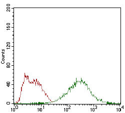 EIF2A Antibody in Flow Cytometry (Flow)