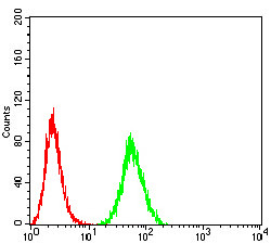 eIF5 Antibody in Flow Cytometry (Flow)