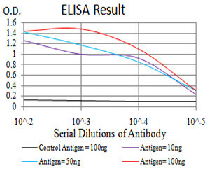 FOXP2 Antibody in ELISA (ELISA)