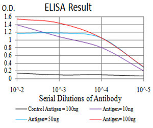 GFPT1 Antibody in ELISA (ELISA)