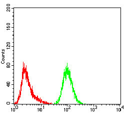 GFPT1 Antibody in Flow Cytometry (Flow)