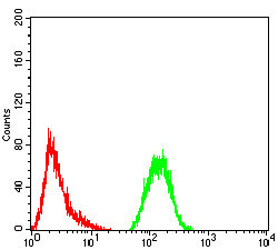 GFPT1 Antibody in Flow Cytometry (Flow)