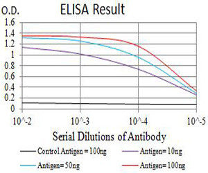 GluR6 Antibody in ELISA (ELISA)