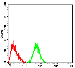 GRIK4 Antibody in Flow Cytometry (Flow)