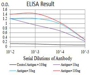 GRIK4 Antibody in ELISA (ELISA)