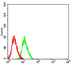 NMDAR3B Antibody in Flow Cytometry (Flow)