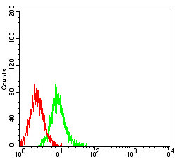 mGluR6 Antibody in Flow Cytometry (Flow)