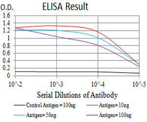 mGluR6 Antibody in ELISA (ELISA)