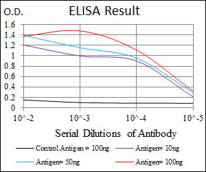 GSTM1 Antibody in ELISA (ELISA)