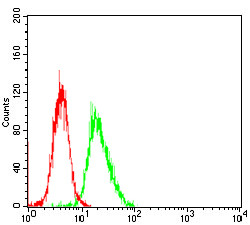 Histone H3 Antibody in Flow Cytometry (Flow)