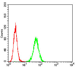 HTR3A Antibody in Flow Cytometry (Flow)