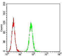 HTR3B Antibody in Flow Cytometry (Flow)