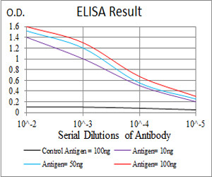 KBTBD8 Antibody in ELISA (ELISA)