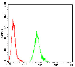 KBTBD8 Antibody in Flow Cytometry (Flow)