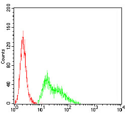 KV4.2 (KCND2) Antibody in Flow Cytometry (Flow)