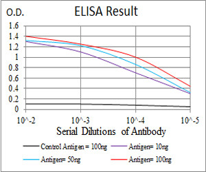 KV4.2 (KCND2) Antibody in ELISA (ELISA)