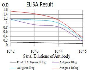 KPNA2 Antibody in ELISA (ELISA)