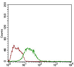 Myostatin Antibody in Flow Cytometry (Flow)