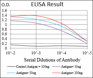 MURF1 Antibody in ELISA (ELISA)