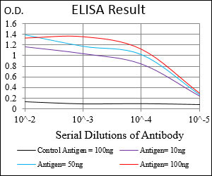 MURF1 Antibody in ELISA (ELISA)