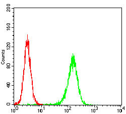 MURF1 Antibody in Flow Cytometry (Flow)