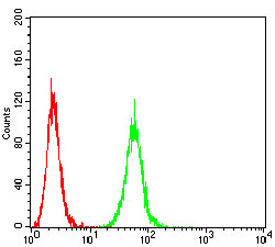 P2X7 Antibody in Flow Cytometry (Flow)