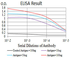 P2Y14 Antibody in ELISA (ELISA)