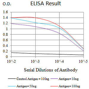 P2Y2 Antibody in ELISA (ELISA)