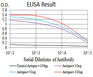 P2Y4 Antibody in ELISA (ELISA)