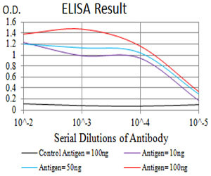 P2Y4 Antibody in ELISA (ELISA)