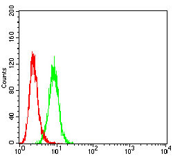 P2Y4 Antibody in Flow Cytometry (Flow)