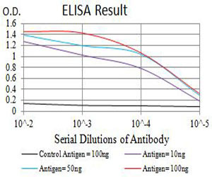 P2Y8 Antibody in ELISA (ELISA)