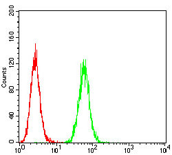 P2Y8 Antibody in Flow Cytometry (Flow)