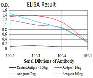 PAK3 Antibody in ELISA (ELISA)