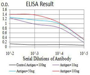 PAK3 Antibody in ELISA (ELISA)