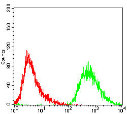 PDK2 Antibody in Flow Cytometry (Flow)