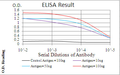 PDPK1 Antibody in ELISA (ELISA)