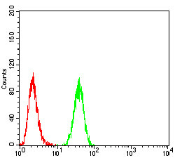 PDPK1 Antibody in Flow Cytometry (Flow)