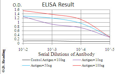 PDPK1 Antibody in ELISA (ELISA)