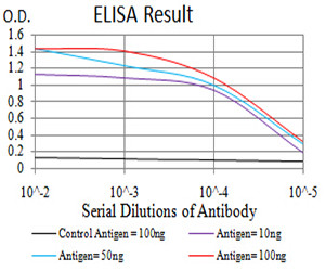 PLD2 Antibody in ELISA (ELISA)