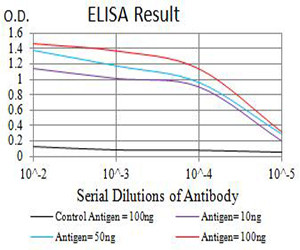 AMPK beta-2 Antibody in ELISA (ELISA)