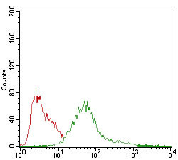 AMPK gamma-1 Antibody in Flow Cytometry (Flow)