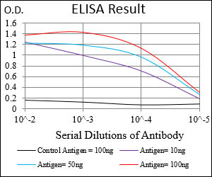 AMPK gamma-1 Antibody in ELISA (ELISA)