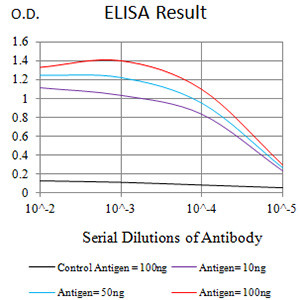 PTPRU Antibody in ELISA (ELISA)