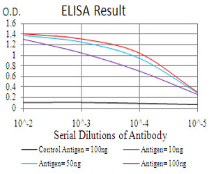 RAB13 Antibody in ELISA (ELISA)