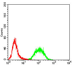 RAB13 Antibody in Flow Cytometry (Flow)