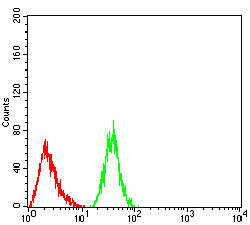 RAB1B Antibody in Flow Cytometry (Flow)