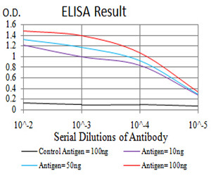 RAB6B Antibody in ELISA (ELISA)