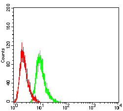 RAB6B Antibody in Flow Cytometry (Flow)