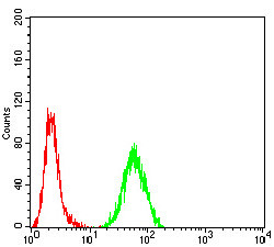 RAD23A Antibody in Flow Cytometry (Flow)